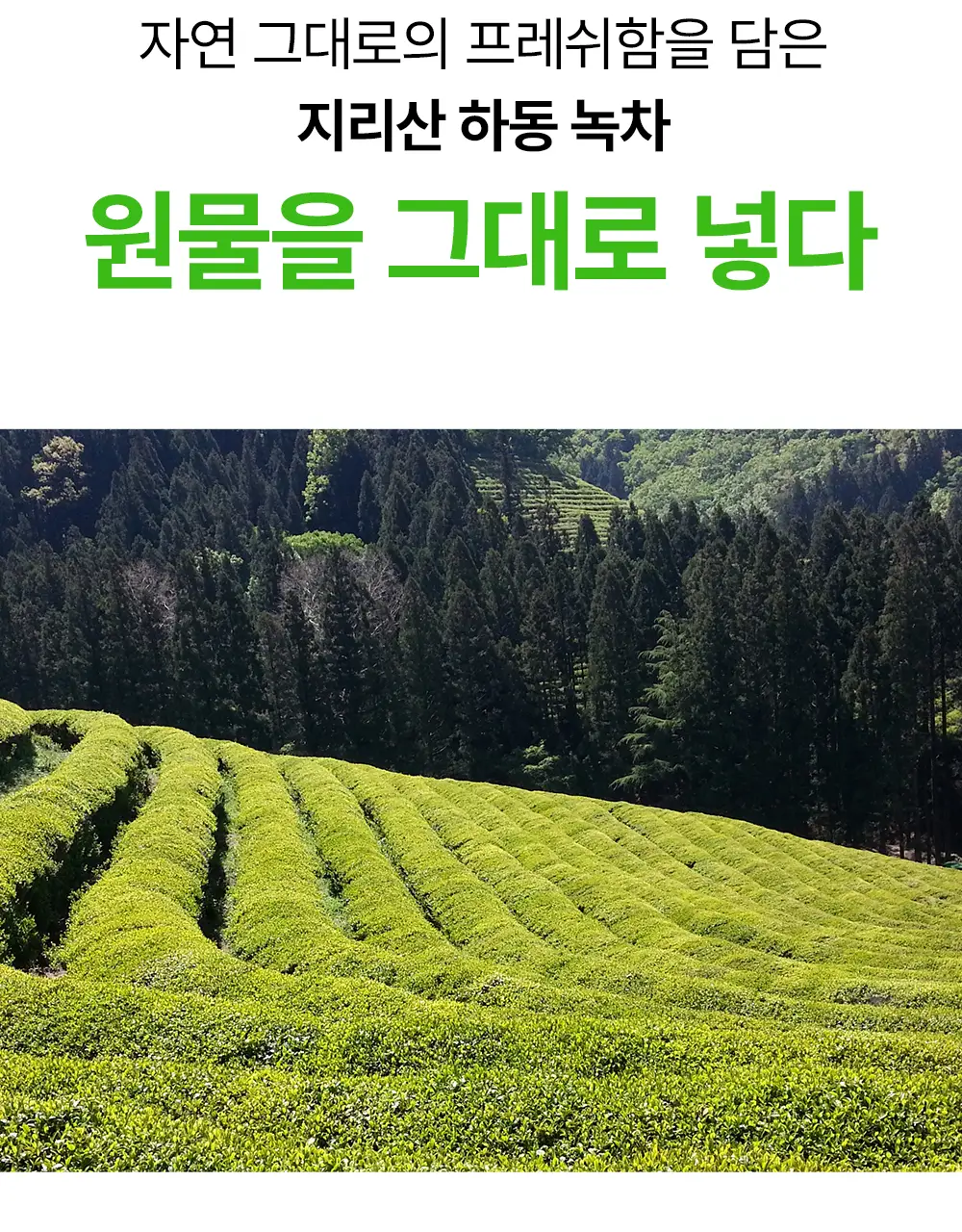 [녹차수60%/모공케어] 네오젠 리얼 프레쉬 클렌징폼 그린티 160g 상세페이지 7